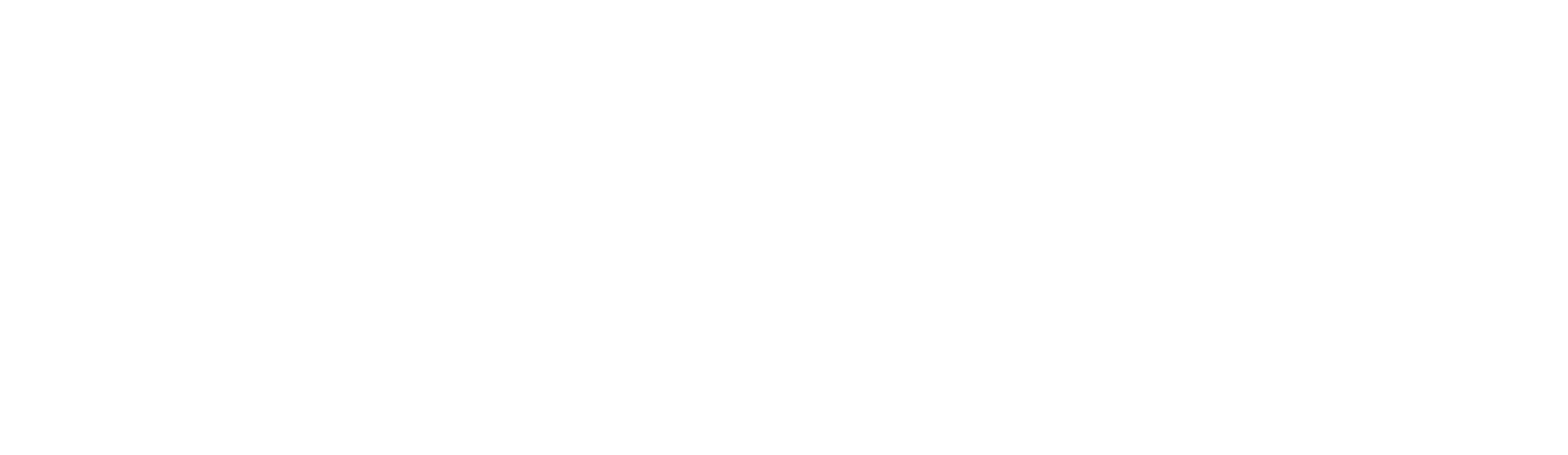 Logo - Treinaseg